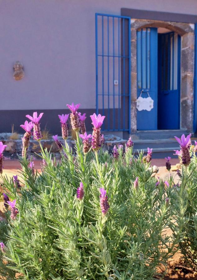 B&B CasaNera Riposto Bagian luar foto