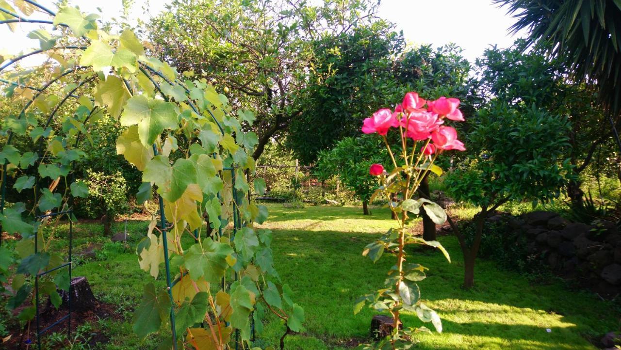 B&B CasaNera Riposto Bagian luar foto