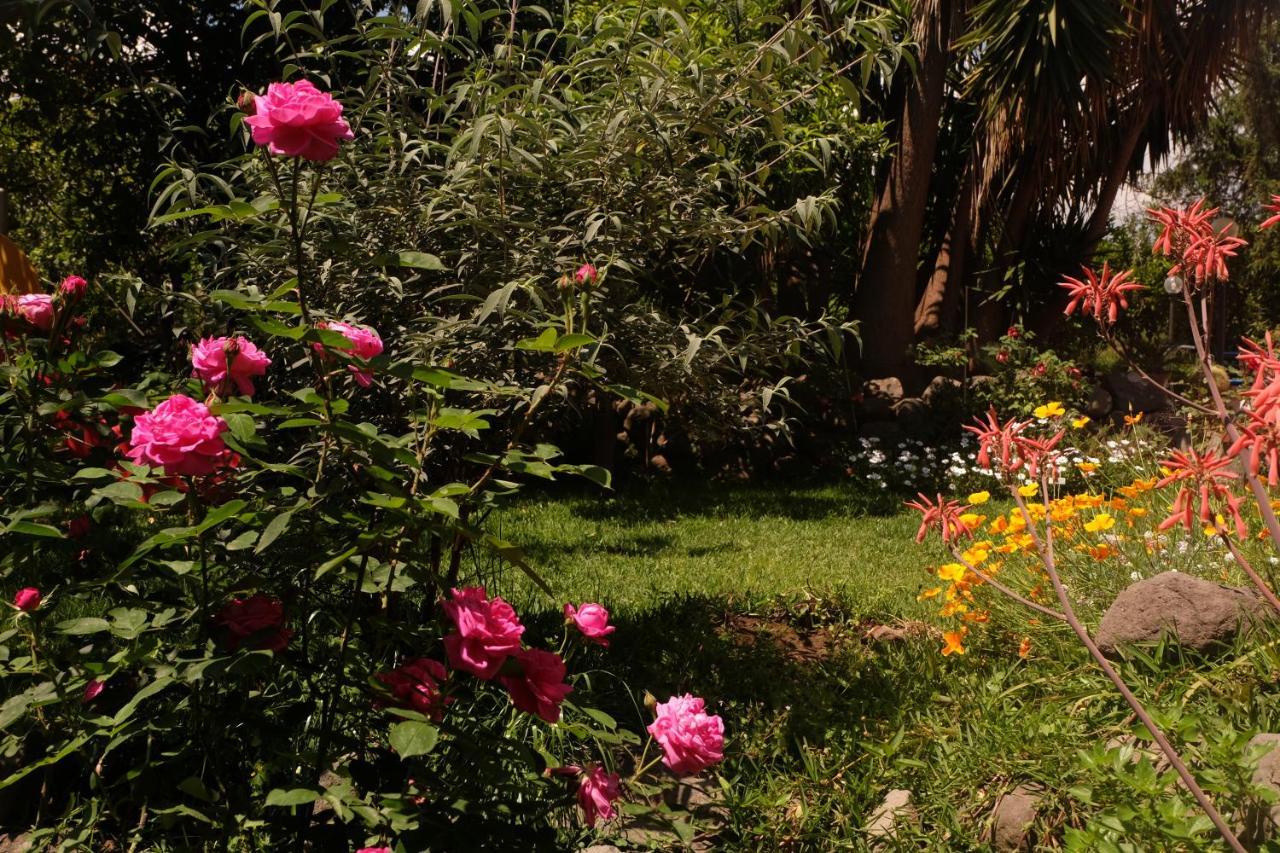 B&B CasaNera Riposto Bagian luar foto