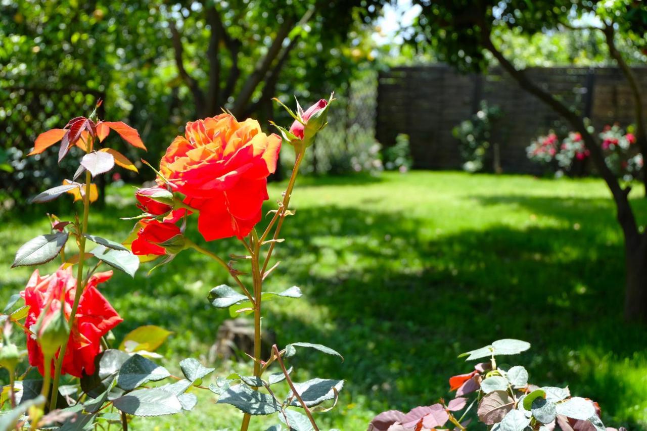 B&B CasaNera Riposto Bagian luar foto